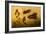 Goldfish-F.W. Kuhnert-Framed Art Print