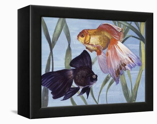 Goldfishes (Carassius Auratus), Cyprinidae-null-Framed Premier Image Canvas