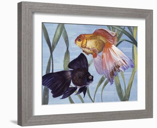 Goldfishes (Carassius Auratus), Cyprinidae-null-Framed Giclee Print