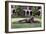 Goldie (1971) Outdoor Art University Of Alabama-Carol Highsmith-Framed Art Print