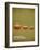 Goldilocks-Christian Jackson-Framed Art Print