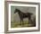 Golding Constable's Black Riding-Horse, C.1805-10 (Oil on Panel)-John Constable-Framed Giclee Print