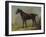 Golding Constable's Black Riding-Horse, C.1805-10 (Oil on Panel)-John Constable-Framed Giclee Print