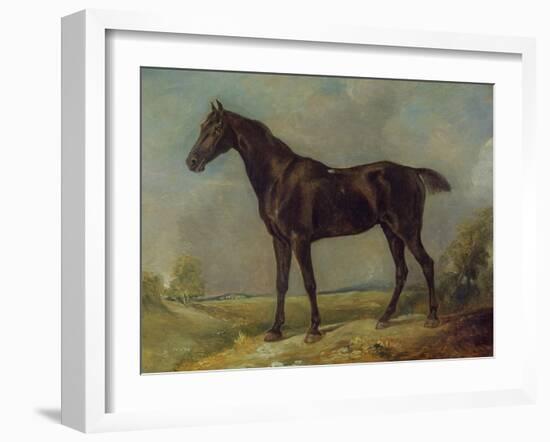 Golding Constable's Black Riding-Horse, C.1805-10 (Oil on Panel)-John Constable-Framed Giclee Print