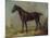 Golding Constable's Black Riding-Horse, C.1805-10 (Oil on Panel)-John Constable-Mounted Giclee Print