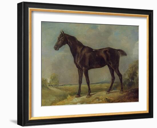 Golding Constable's Black Riding-Horse, C.1805-10 (Oil on Panel)-John Constable-Framed Giclee Print