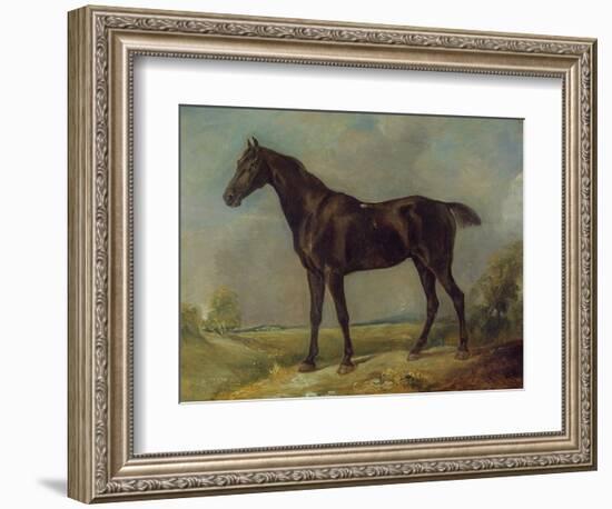 Golding Constable's Black Riding-Horse, C.1805-10 (Oil on Panel)-John Constable-Framed Giclee Print