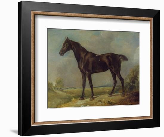 Golding Constable's Black Riding-Horse, C.1805-10 (Oil on Panel)-John Constable-Framed Giclee Print