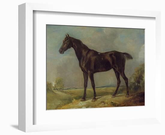 Golding Constable's Black Riding-Horse, C.1805-10 (Oil on Panel)-John Constable-Framed Giclee Print