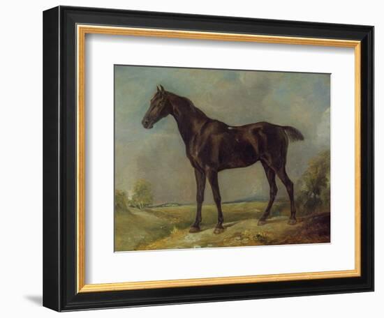 Golding Constable's Black Riding-Horse, C.1805-10 (Oil on Panel)-John Constable-Framed Giclee Print
