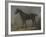 Golding Constable's Black Riding-Horse-John Constable-Framed Premium Giclee Print