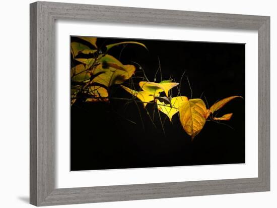 Golding-Ursula Abresch-Framed Photographic Print