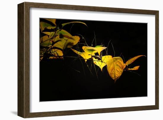 Golding-Ursula Abresch-Framed Photographic Print