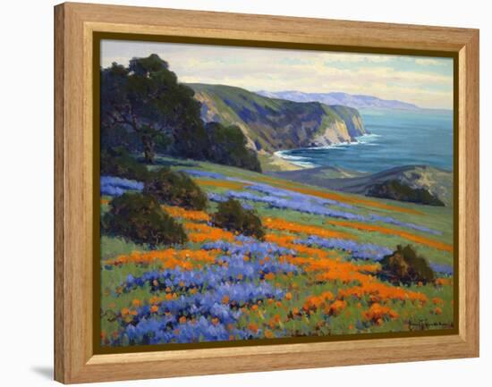 Goleta Point-John Gamble-Framed Stretched Canvas