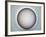 Golf Anyone-Nathan Griffith-Framed Photographic Print