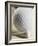 Golf Ball and Golf Tee-Tom Grill-Framed Photographic Print