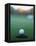 Golf Ball Close to Hole-Robert Llewellyn-Framed Premier Image Canvas