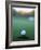 Golf Ball Close to Hole-Robert Llewellyn-Framed Photographic Print