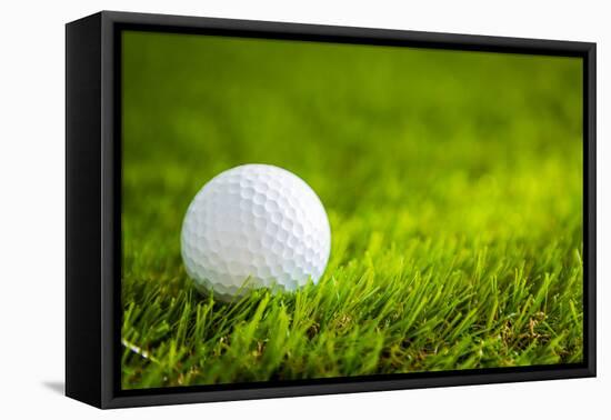 Golf Ball on Green Grass-jannoon028-Framed Premier Image Canvas