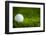 Golf Ball on Green Grass-jannoon028-Framed Photographic Print