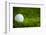 Golf Ball on Green Grass-jannoon028-Framed Photographic Print