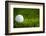 Golf Ball on Green Grass-jannoon028-Framed Photographic Print