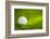 Golf Ball on Green Grass-jannoon028-Framed Photographic Print