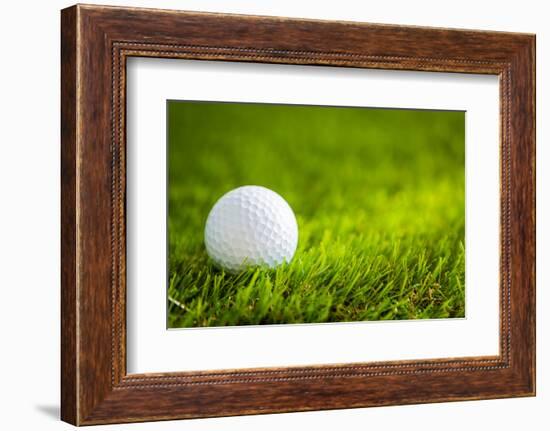 Golf Ball on Green Grass-jannoon028-Framed Photographic Print