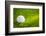 Golf Ball on Green Grass-jannoon028-Framed Photographic Print