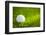 Golf Ball on Green Grass-jannoon028-Framed Photographic Print