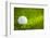 Golf Ball on Green Grass-jannoon028-Framed Photographic Print