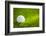 Golf Ball on Green Grass-jannoon028-Framed Photographic Print