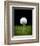 Golf Ball on Tee Black Back-null-Framed Premium Giclee Print