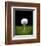 Golf Ball on Tee Black Back-null-Framed Premium Giclee Print