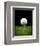 Golf Ball on Tee Black Back-null-Framed Premium Giclee Print