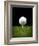 Golf Ball on Tee Black Back-null-Framed Art Print