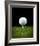 Golf Ball on Tee Black Back-null-Framed Art Print