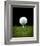 Golf Ball on Tee Black Back-null-Framed Art Print