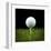 Golf Ball on Tee Black Back-null-Framed Art Print