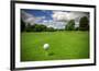 Golf Ball on Tee in a Beautiful Golf Club-Patryk Kosmider-Framed Premium Photographic Print