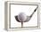 Golf Ball on Tee with Club-null-Framed Premier Image Canvas