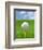 Golf ball on tee-Gaetano-Framed Photographic Print