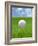 Golf ball on tee-Gaetano-Framed Photographic Print