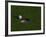 Golf Ball Sitting Near the Hole-null-Framed Photographic Print