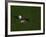 Golf Ball Sitting Near the Hole-null-Framed Photographic Print