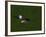 Golf Ball Sitting Near the Hole-null-Framed Photographic Print