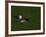 Golf Ball Sitting Near the Hole-null-Framed Photographic Print