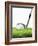 Golf Club and Golf Ball on Grass-null-Framed Photographic Print