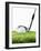 Golf Club and Golf Ball on Grass-null-Framed Photographic Print