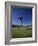 Golf Club at Genoa Lakes, Nevada, USA-null-Framed Photographic Print